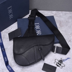 Christian Dior Saddle Bags